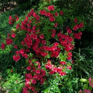 Meet your Posher, Ijah